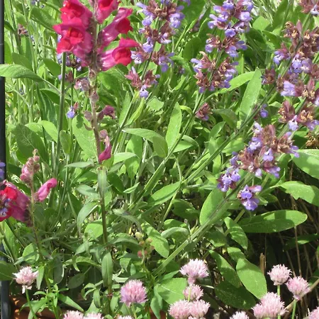 Haus Petra - 2 Appartement Dahme (Schleswig-Holstein)